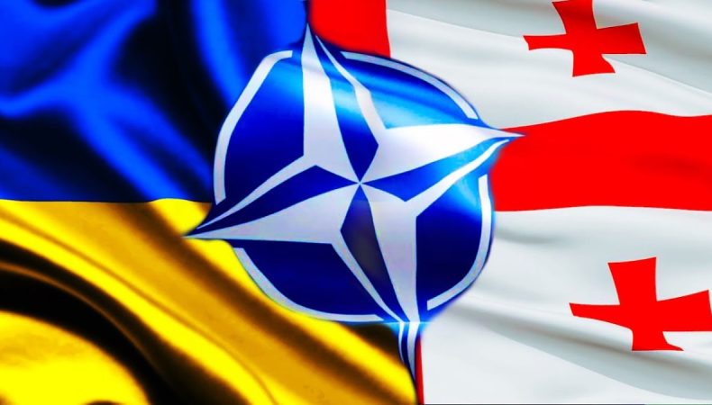 Україна та Грузія зможуть стати членами НАТО
