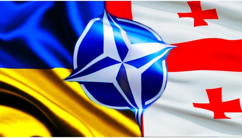 Україна та Грузія зможуть стати членами НАТО