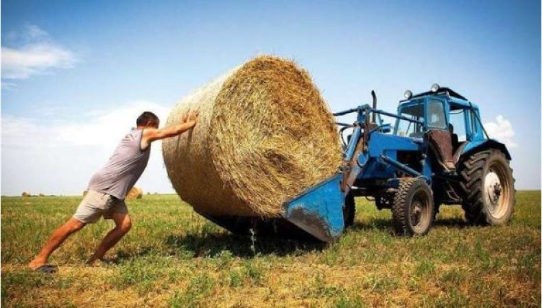 Країну хочуть зачистити від українського фермерства