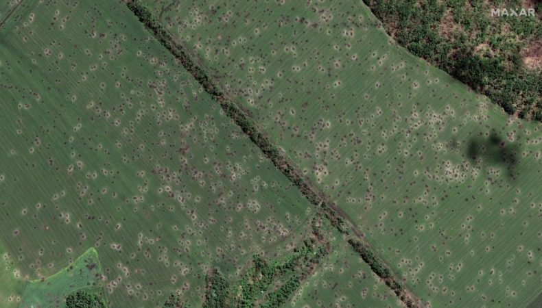 Компания Maxar Technologies опубликовала спутниковые фото расстрелянного поля