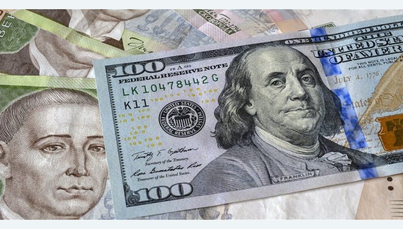 Економіст прокоментував прив’язку гривні до євро замість долара