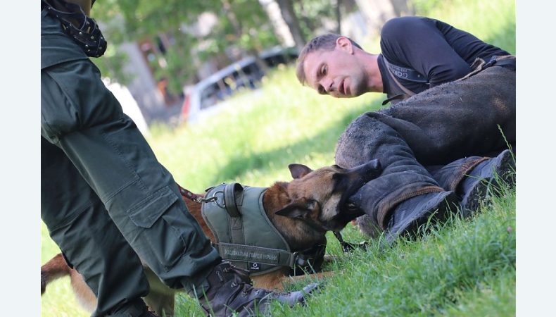 Кінологи столичної бригади Нацгвардії вдосконалюють свої навички разом зі своїми вихованцями