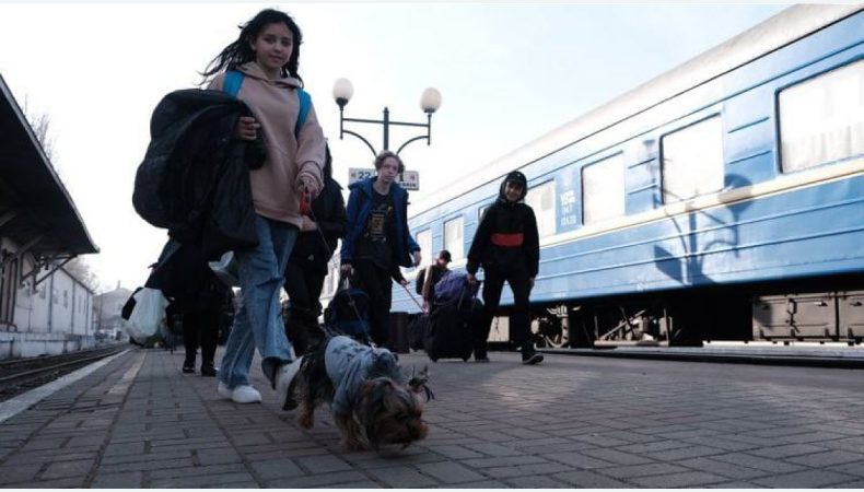 Буковина може прийняти ще 50 тисяч переселенців