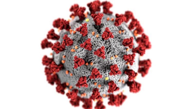 У МОЗ повідомили, чи дістався до України новий штам коронавірусу