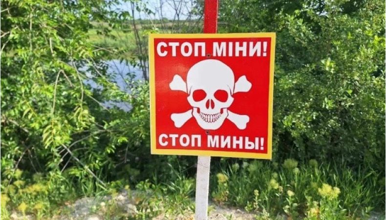 ми, Україна мала ще на початку війни підняти питання про використання протипіхотних мін