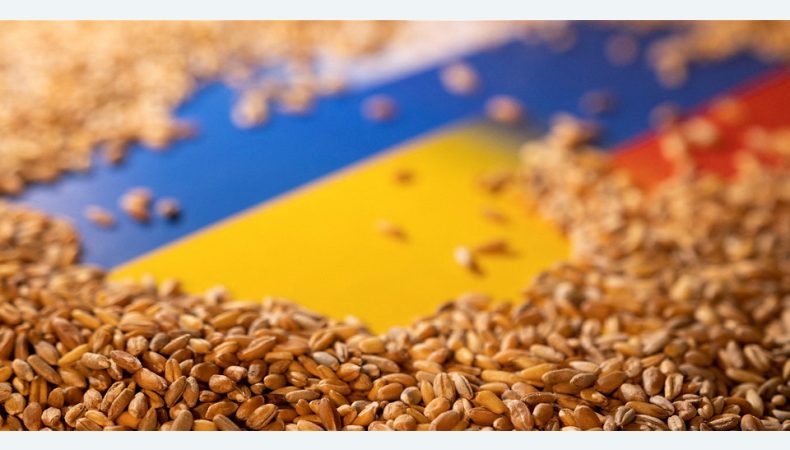 Стало відомо, як вивозитимуть українське зерно