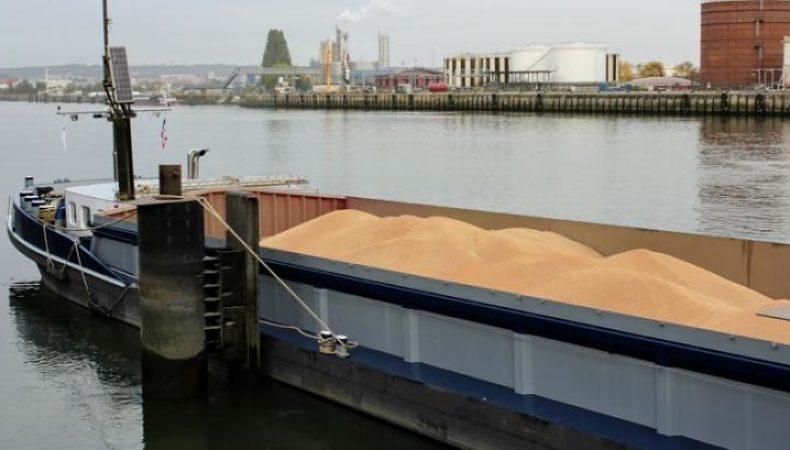 Експорт зерна до Ірану
