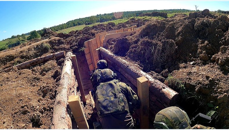 Чехія вслід за Польщею розглядає можливість створення «Українського легіону»