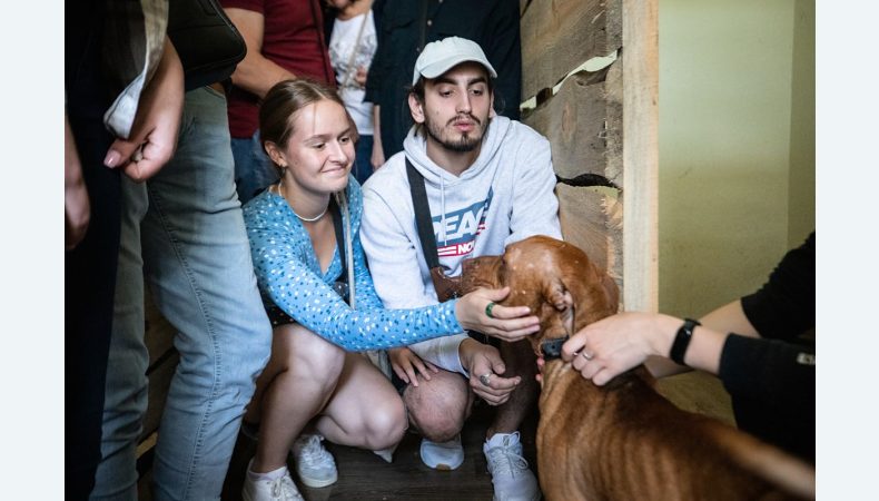 Понад тисяча гостей відвідала День відкритих дверей у тимчасовому притулку для тварин на ВДНГ: прилаштовано 11 тварин 