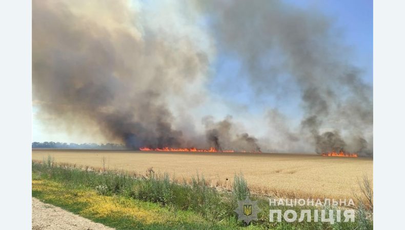 Поліція відкрила кримінальні провадження щодо знищення врожаю на Херсонщині