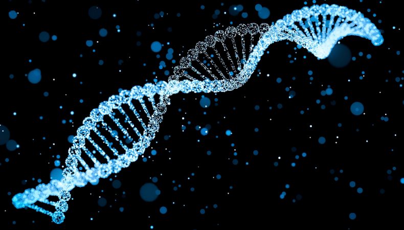 Верховна Рада створила реєстр ДНК нації
