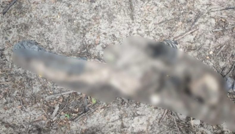 У Бучанському районі виявили тіло чоловіка, розстріляного окупантами