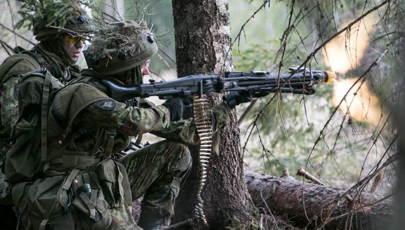 Естонія виділяє новий пакет військової допомоги Україні