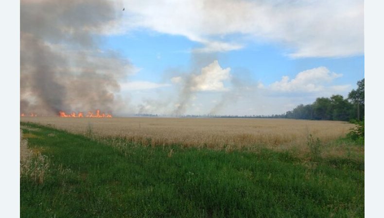 Скоро Україна зіткнеться з нестачею потужностей для зберігання врожаю