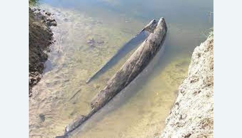 В Україні знайшли човен, якому близько 500 років