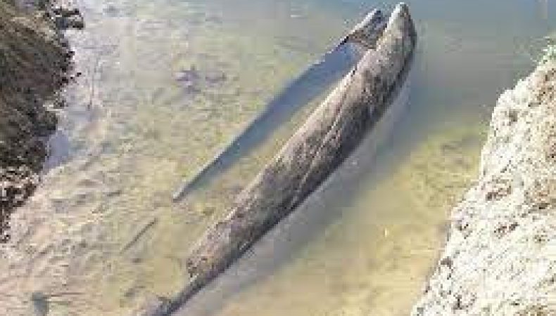 В Україні знайшли човен, якому близько 500 років