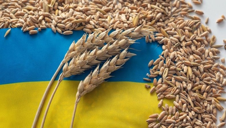 Чому кремль не погоджується на умови зернової угоди?