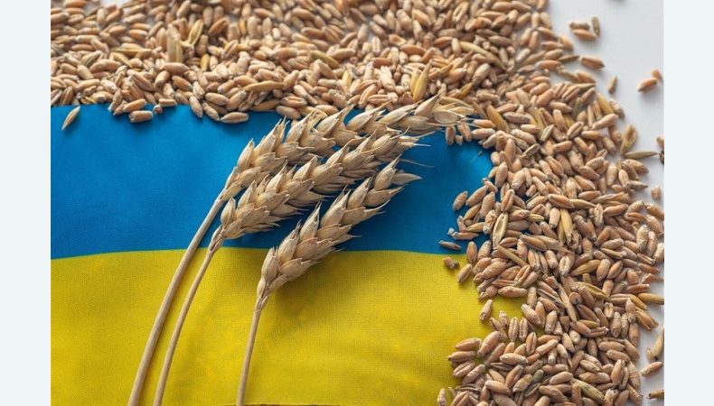 Чому кремль не погоджується на умови зернової угоди?