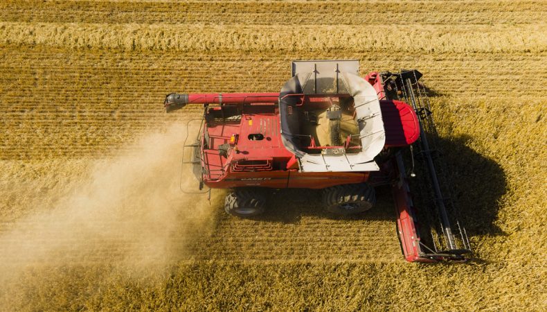 Скільки продовольства втратив світ через напад росії на Україну?