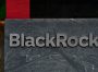 Чому BlackRock припинила пошук інвесторів для фонду відновлення України?