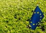 Без розвитку переробної промисловості, Україну і далі розглядатимуть, як сировинний придаток — експерт