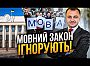 Влада проти громадськості: Навіщо Банковій новий мовний омбудсмен?