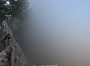 Боєць ЗСУ з кузова пікапа збив ворожий дрон-камікадзе (відео)