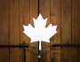 Канада запровадила нові санкції проти нафтогазової та хімічної промисловості рф
