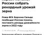 Херсонська область допоможе Росії цього року зібрати рекордний врожай