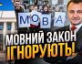 Влада проти громадськості: Навіщо Банковій новий мовний омбудсмен?