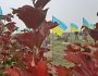 У Дніпрі на Краснопільському кладовищі підняли прапори