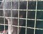 Зоозахисники організації UAnimals неподалік Лимана врятували ведмедя, який отримав контузію