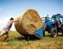 Країну хочуть зачистити від українського фермерства — агроексперт