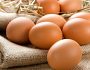 Курячі яйця зростуть у ціні
