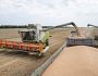 Збирання зернових наближається до завершення: у Мінагрополітики повідомили про врожайність