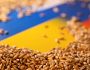 Стало відомо, як вивозитимуть українське зерно