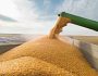 Блокування українських портів: фермери можуть залишити новий врожай зерна просто неба — експерт