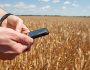 В Україні впроваджена політика лобіювання інтересів великих зернотрейдерів — експерт